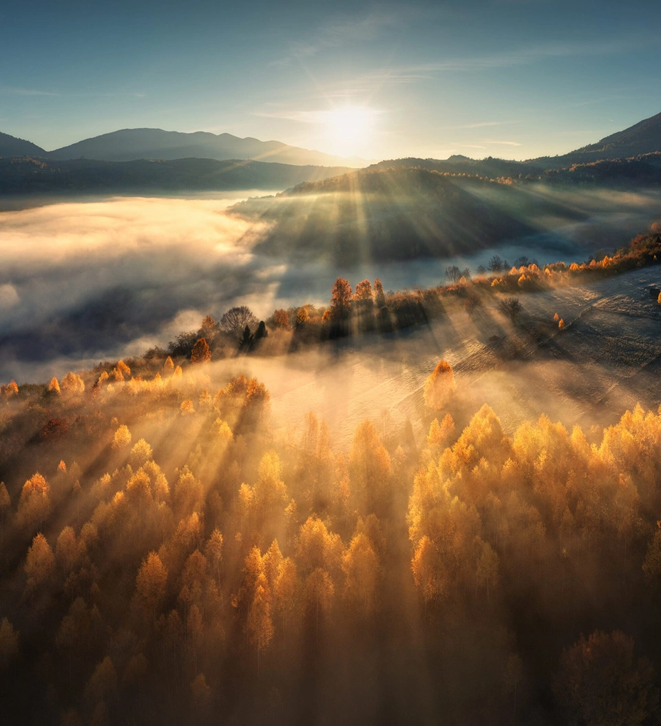 Sunrise over misty autumn forest valley